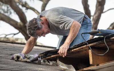 5 Yearly Roof Maintenance Tips